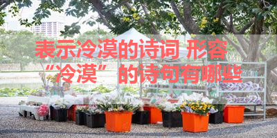 表示冷漠的诗词 形容“冷漠”的诗句有哪些 
