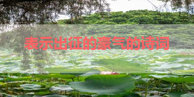 表示出征的豪气的诗词 