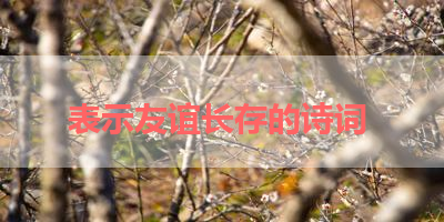 表示友谊长存的诗词 