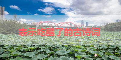 表示吃醋了的古诗词 