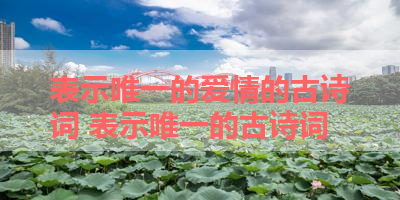表示唯一的爱情的古诗词 表示唯一的古诗词