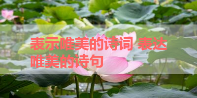 表示唯美的诗词 表达唯美的诗句 