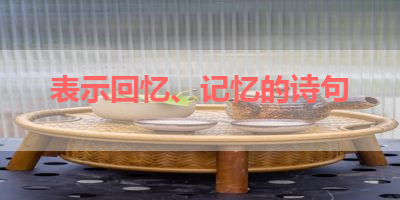 表示回忆、记忆的诗句 
