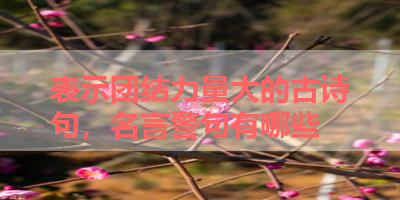 表示团结力量大的古诗句，名言警句有哪些 