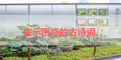 表示困惑的古诗词 