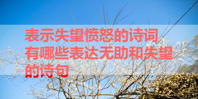 表示失望愤怒的诗词 有哪些表达无助和失望的诗句 