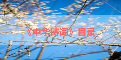 《中华诗词》目录 