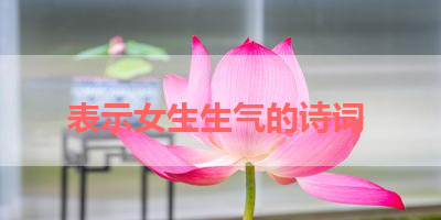 表示女生生气的诗词 