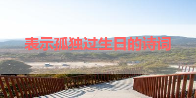 表示孤独过生日的诗词 