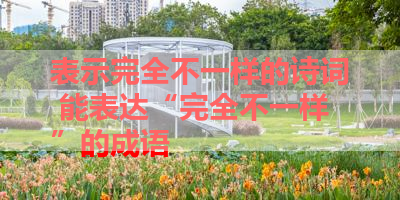 表示完全不一样的诗词 能表达“完全不一样”的成语 