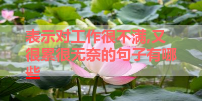 表示对工作很不满,又很累很无奈的句子有哪些 