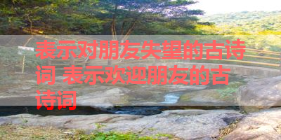 表示对朋友失望的古诗词 表示欢迎朋友的古诗词