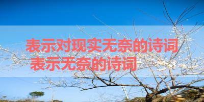 表示对现实无奈的诗词 表示无奈的诗词