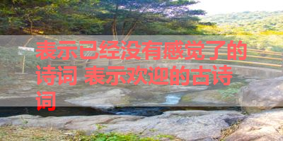 表示已经没有感觉了的诗词 表示欢迎的古诗词