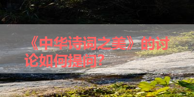 《中华诗词之美》的讨论如何提问？ 