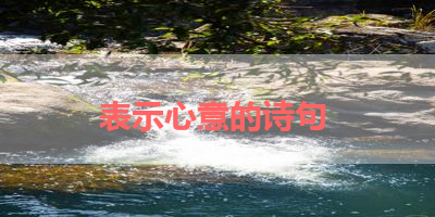表示心意的诗句 