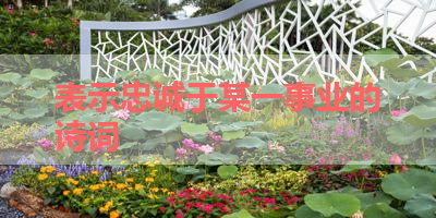 表示忠诚于某一事业的诗词 