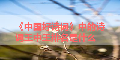 《中国好诗词》中的诗词王中王排名是什么 