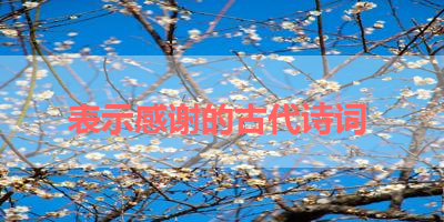 表示感谢的古代诗词 