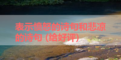 表示愤怒的诗句和悲凉的诗句 (给好评) 