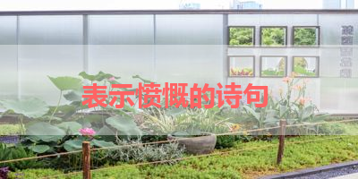 表示愤慨的诗句 