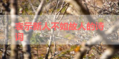 表示新人不如故人的诗词 