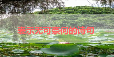 表示无可奈何的诗句 