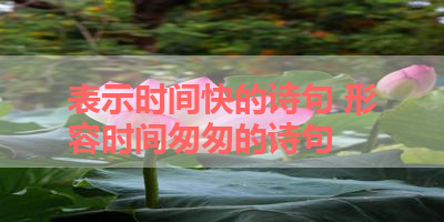 表示时间快的诗句 形容时间匆匆的诗句