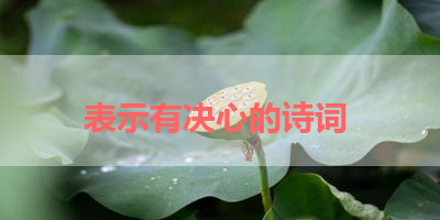 表示有决心的诗词 