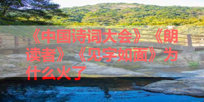 《中国诗词大会》《朗读者》《见字如面》为什么火了 