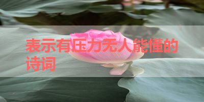 表示有压力无人能懂的诗词 