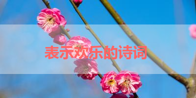 表示欢乐的诗词 