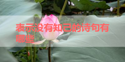 表示没有知己的诗句有哪些 