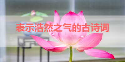 表示浩然之气的古诗词 