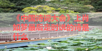 《中国诗词大会》上肖如梦最后走时说的诗是什么 