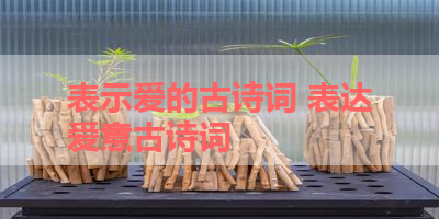 表示爱的古诗词 表达爱意古诗词 