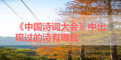 《中国诗词大会》中出现过的诗有哪些 