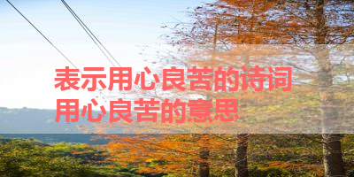 表示用心良苦的诗词 用心良苦的意思