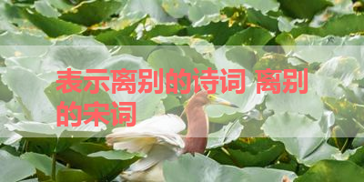表示离别的诗词 离别的宋词