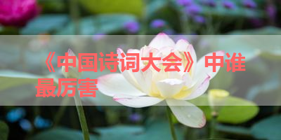 《中国诗词大会》中谁最厉害 