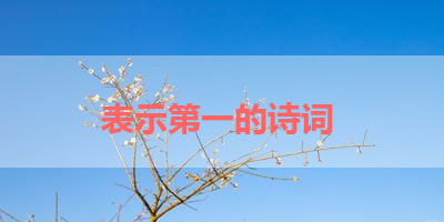 表示第一的诗词 