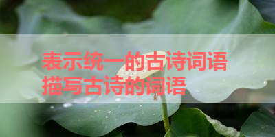 表示统一的古诗词语 描写古诗的词语