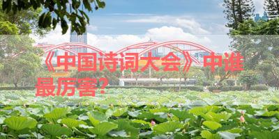 《中国诗词大会》中谁最厉害？ 