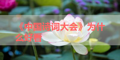 《中国诗词大会》为什么好看 