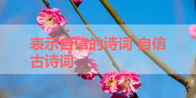 表示自信的诗词 自信古诗词