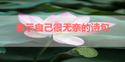 表示自己很无奈的诗句 