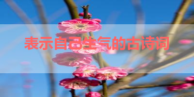 表示自己生气的古诗词 