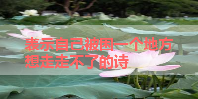 表示自己被困一个地方想走走不了的诗 