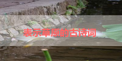 表示草原的古诗词 