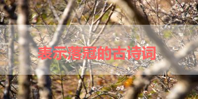 表示落冠的古诗词 